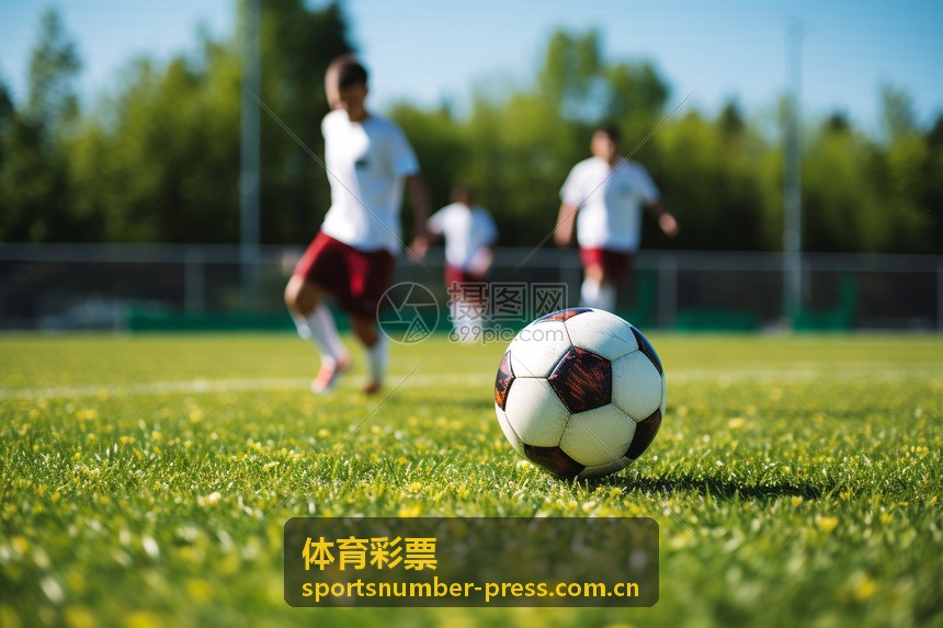 体育彩票号码分析数据可视化图表